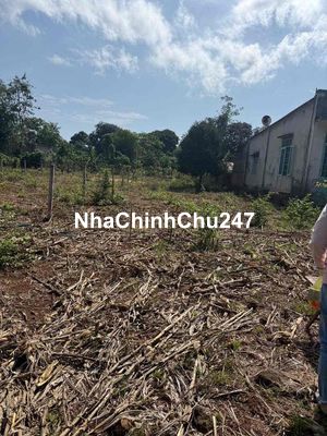 Đất Bàu Chinh Châu Đức 500m2