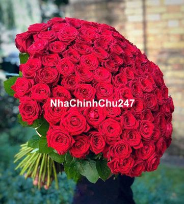 Chính chủ bán 71m2 Thổ Cư  - khu Dân cư ổn định - Giá Tốt cho Đầu tư