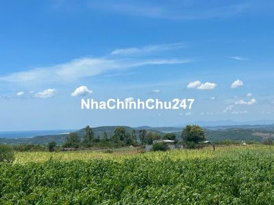 Chính Chủ Cần Bán lô đất DT: 1.500m2 có 200m2 thổ cư xây nhà được.