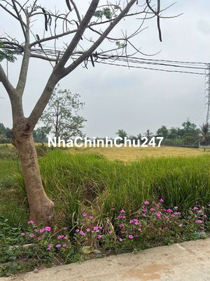 Chính chủ bán gấp nền thổ cư 160m2 đường 4m xe ôtô