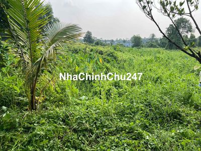 chính chủ gửi lo đất (900m ) nhi bình gia 3 tỷ