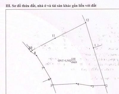 Chính chủ Bán 16.186m đất Vườn trồng 2.500 Cây Sưa Đỏ