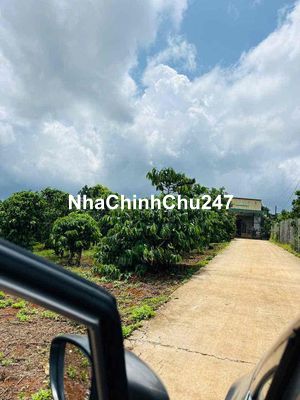 Chính chủ Cần Bán ngang 27m , 2 mặt tiền gần chợ Tân Hà