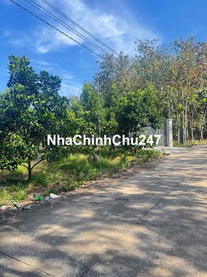 Chủ cần bán gấp 200m2 gần chợ , trường học chỉ 500m