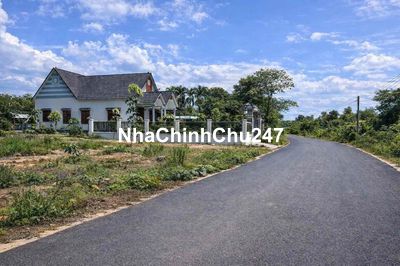 Chính chủ cần bán 250m đất mặt tiền đường nhựa