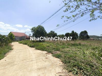 Chính chủ bán 1000m2 đất xây biệt thự vườn ở Nam Hà, Lâm Đồng
