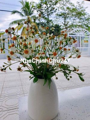 Chính Chủ bán nhà và đất 10m mặt tiền đường nhựa chính Triệu Hải