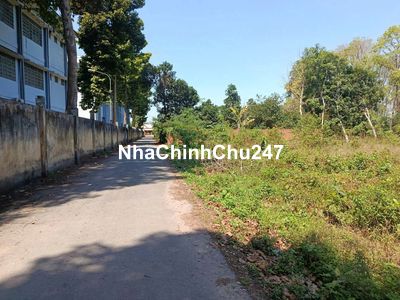 Chủ kẹt bán đất sát trườngTHCS  AN Linh Phú Giáo HCM giá 850tr /3426m