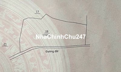 Chính chủ cần bán ~1,2 ha đất mặt tiền xã Phước Hòa, giáp Sông Bé