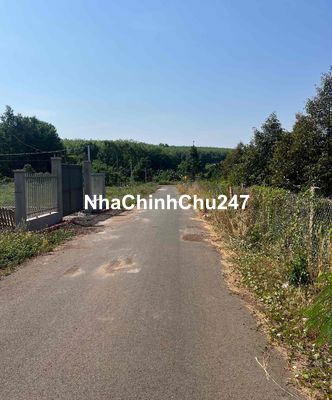 Chủ cần bán 1500m2 mặt tiền nhựa có 20m mặt tiền sát đường liên xã