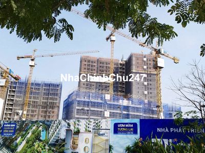 GIỎ HÀNG DESTELLO TRỰC TIẾP TỪ ĐƠN VỊ CHỦ ĐẦU TƯ SEAHOLDINGS