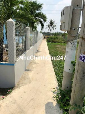 Cần bán Đất chính chủ có sổ hồng riêng tại xã Tân Trạch, Cần Đước