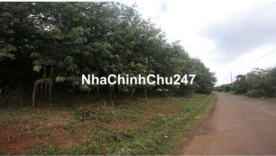 chính chủ bán 2 Hecta đất NN mặt tiền Nguyễn Thị Minh Khai, Bù Đăng,BP