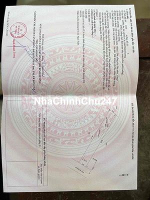 chính chủ cần bán lô đất mặt tiền 8x60