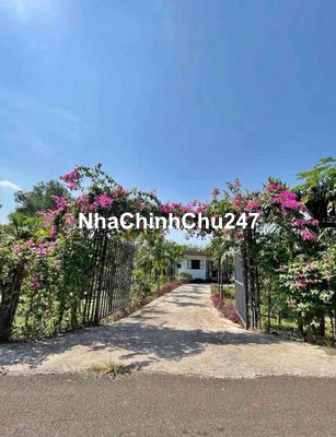 Chủ kẹt bank nên cần bán gấp căn nhà vườn 2300 mét vuông có sẵn thổ cư