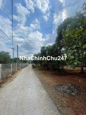 Chính Chủ Kẹt Tiền Cần Bán Gấp