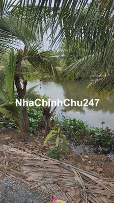 Chính Chủ Gởi Bán Đất thổ cư