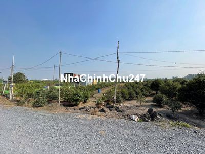 🔥 CHÍNH CHỦ BÁN ĐẤT VƯỜN BÌNH CHÁNH – MẶT TIỀN ĐƯỜNG – SỔ RIÊNG