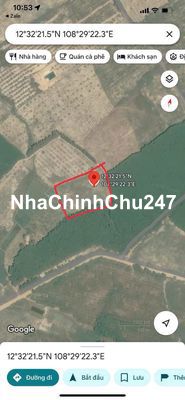 Chính Chủ mình cần bán giá tôt cho đầu tư hoặc canh tác cây trồng