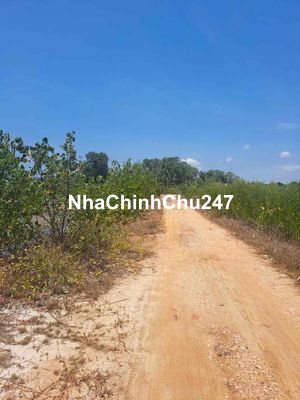 chính chủ cần bán gấp