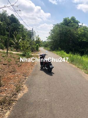Bán đất mặt tiền đường nhựa ngay cạnh QL56 Bàu Chinh – Châu Đức