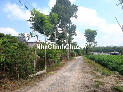 Chính chủ bán đất giá rẻ, đẹp, sổ hồng riêng