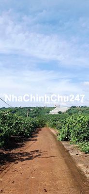 Mình chính chủ muốn bán lô đất ở xã Mê Linh có sẵn 200m2 thổ cư
