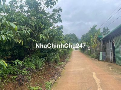 Chính chủ bán 2200m2 đất mặt tiền đường bê tông tại Nam Ban, Lâm Hà