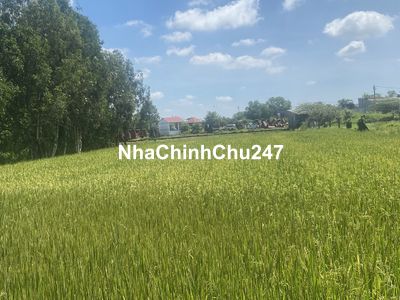 🚨CHÍNH CHỦ SANG NHƯỢNG ĐẤT NÔNG NGHIỆP 1.000m² XÃ VĨNH LỘC – TP. HCM