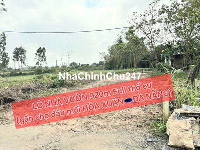 Chủ bán nhanh đón tết DL🎄🎄 lô NHÀ VƯỜN 920m full thổ cư-đường 5m thông