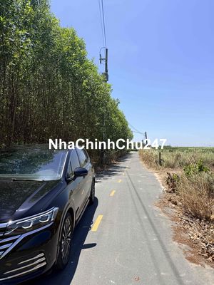 Chính chủ bán đất Xuyên Mộc- BRVT vị trí gần Hồ Tràm( cách biển Hồ Trà