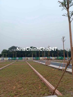 🔥 CHÍNH CHỦ BÁN ĐẤT PHÚ CÁT – GIÁ TỐT 🔥  📍 Vị trí: Xã Phú Cát, khu vực