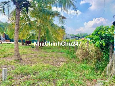🏡🏡Chủ bán gấp đất thổ 143,5m2 giá ngộp 770Tr Ngay Trảng Bàng Tây Ninh