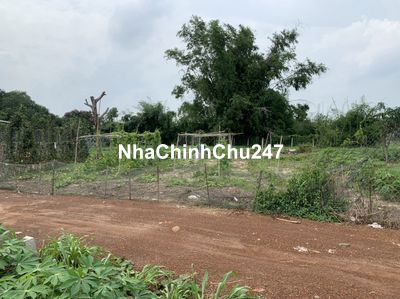 [CHÍNH CHỦ] Cần bán đất Bà Rịa - Vũng Tàu; 1,3 triệu/m2