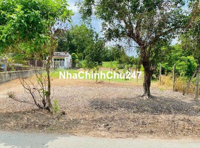 CHỦ CẦN TIỀN BÁN GẤP LÔ ĐẤT THỔ CƯ 10 X 31 - XÃ THÁI MỸ - CỦ CHI