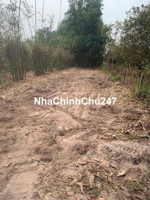 Gia Đình cần bán đất chính chủ