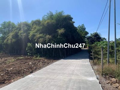 Chính chủ bán đất Sông Trầu full hồng đường betong oto gần trung tâm