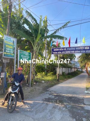 Chính chủ cần bán 2.140m2 dừa trái trĩu buồn