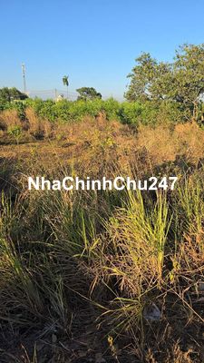 Chính chủ bán đất thổ cư 122m2 shr ở mặt tiền Trảng Bom Đồng Nai 1,9ty