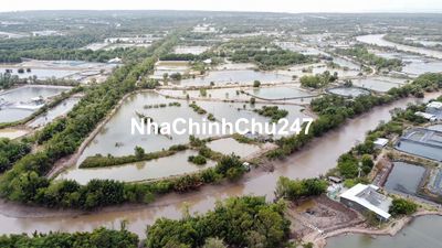Chính Chủ Bán 11.8 Héc-ta Đất Nuôi Trồng Thủy Sản Tại Trà Vinh