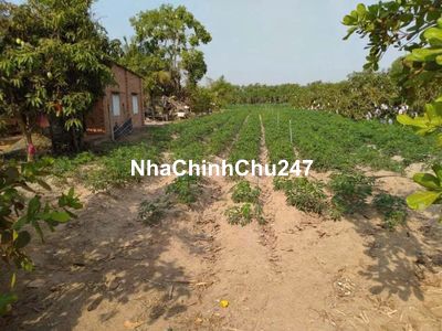 Giá thương lượng, sổ đầy đủ, công chứng nhanh vì chủ đang cần bán gấp