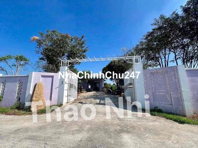 Chủ kẹt bank nên cần bán gấp căn nhà vườn 3000 mét vuông có sẵn thổ cư