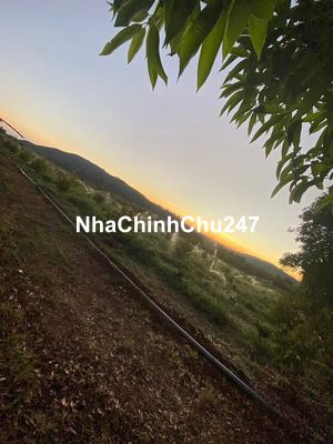 Đất nông nghiệp Gia Lai