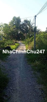 đất bình đức bến lức giá rẻ