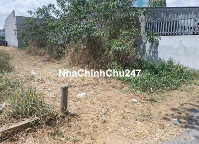 CHÍNH CHỦ BÁN ĐẤT THỔ CƯ 97m² SỔ HỒNG RIÊNG Cần Giuộc, Long An