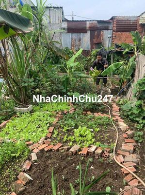 chính chủ bán đất  vĩnh lộc A