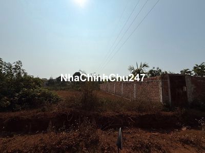 chủ đàng cần tiền giấp