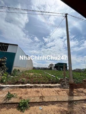 CHÍNH CHỦ CẦN BÁN MIẾNG ĐẤT SỔ HỒNG RIÊNG 187M2 DÂN CƯ HIỆN HỮU