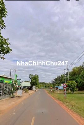 Chính chủ cần bán gấp cho con xây nhà cưới vợ