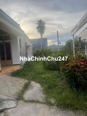 Đất Tân Thạnh Đông cũ chính chủ